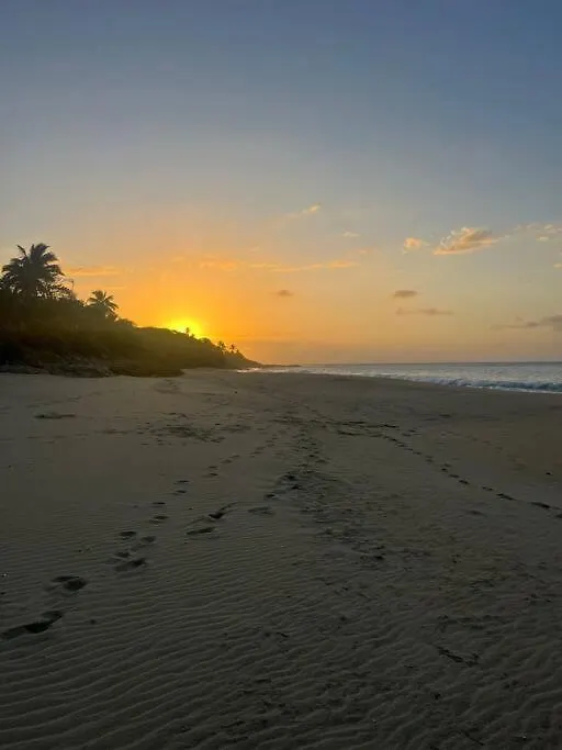 Dora At The Beach - Full House In Rincon Villa